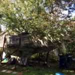 Antique Boat