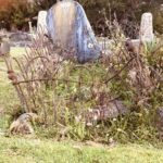 Bear watches over Pompallier Cemetery