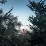 Behind the trees