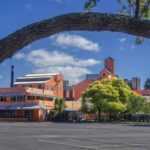 Chelsea Sugar - a Birkenhead Landmark