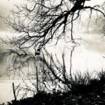 Foggy Birkenhead by Silvia Massa